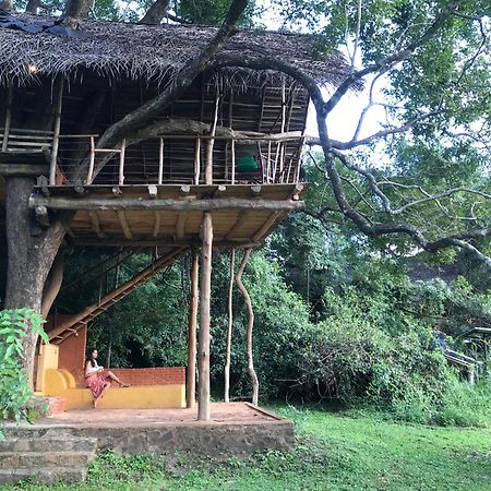 Back Of Beyond - Wild Haven Sigiriya Exterior foto
