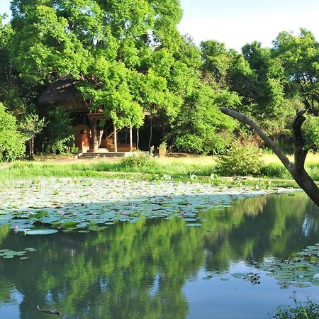 Back Of Beyond - Wild Haven Sigiriya Exterior foto
