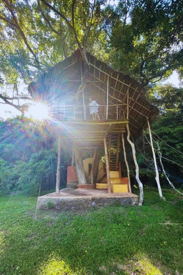 Back Of Beyond - Wild Haven Sigiriya Exterior foto
