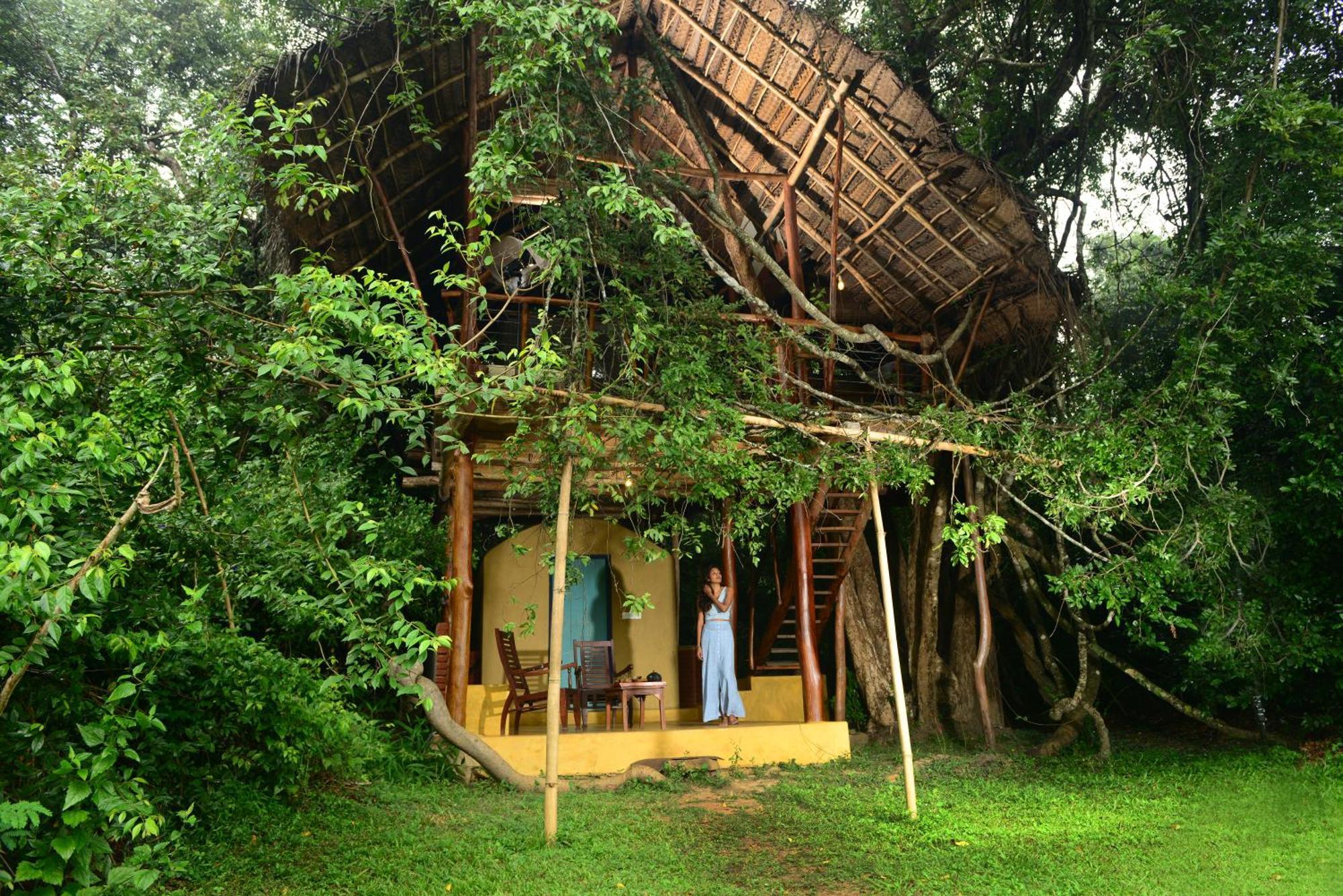 Back Of Beyond - Wild Haven Sigiriya Exterior foto