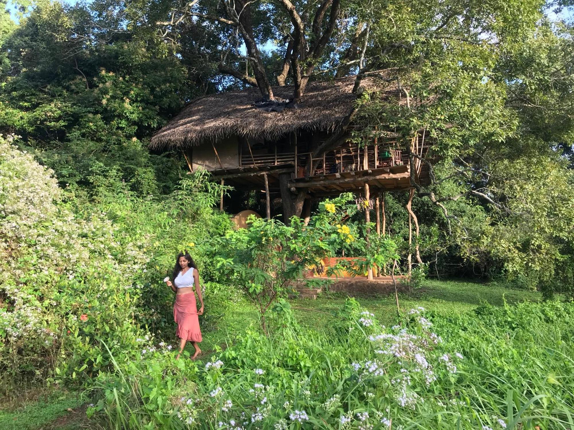 Back Of Beyond - Wild Haven Sigiriya Exterior foto