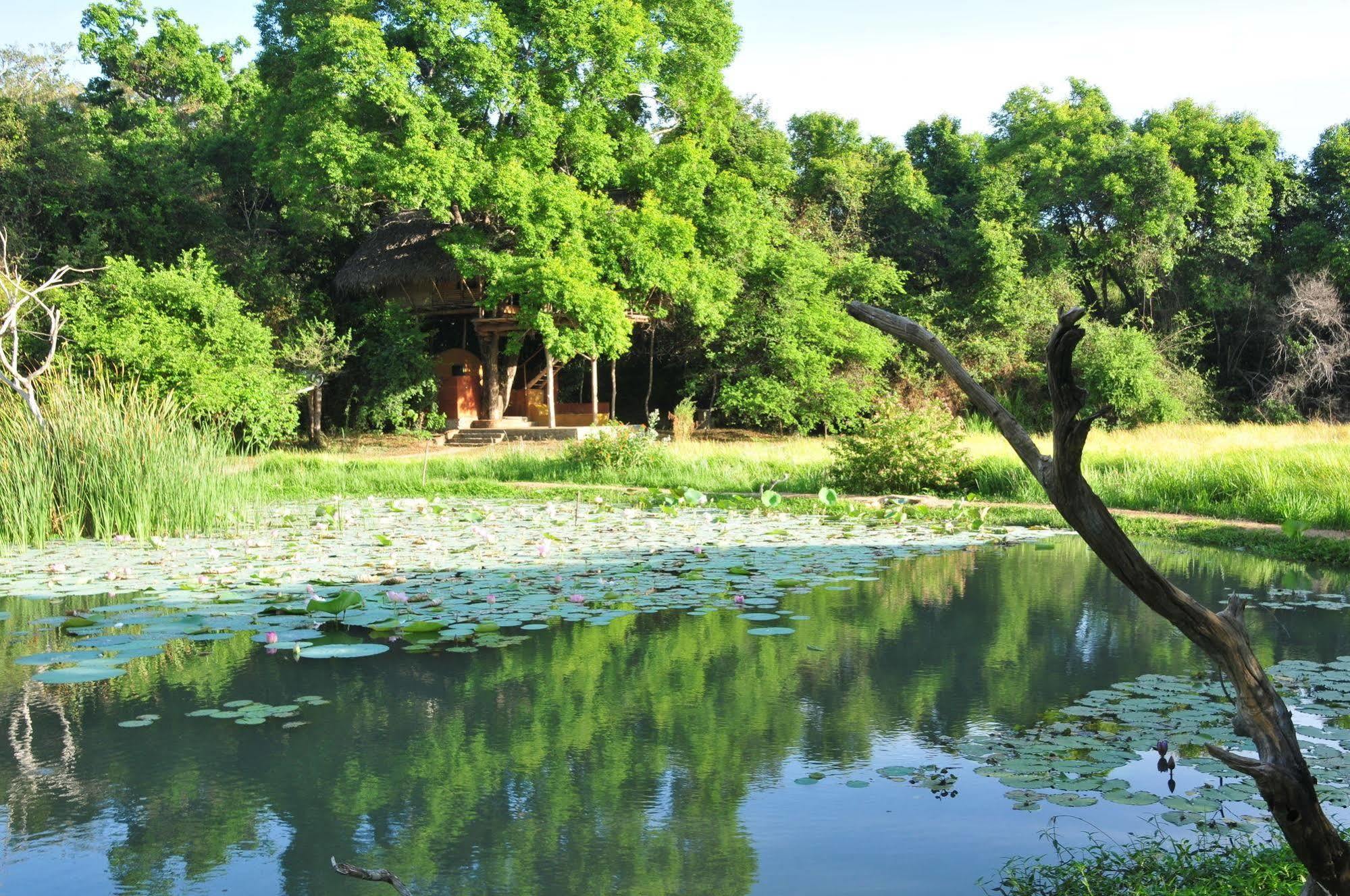 Back Of Beyond - Wild Haven Sigiriya Exterior foto