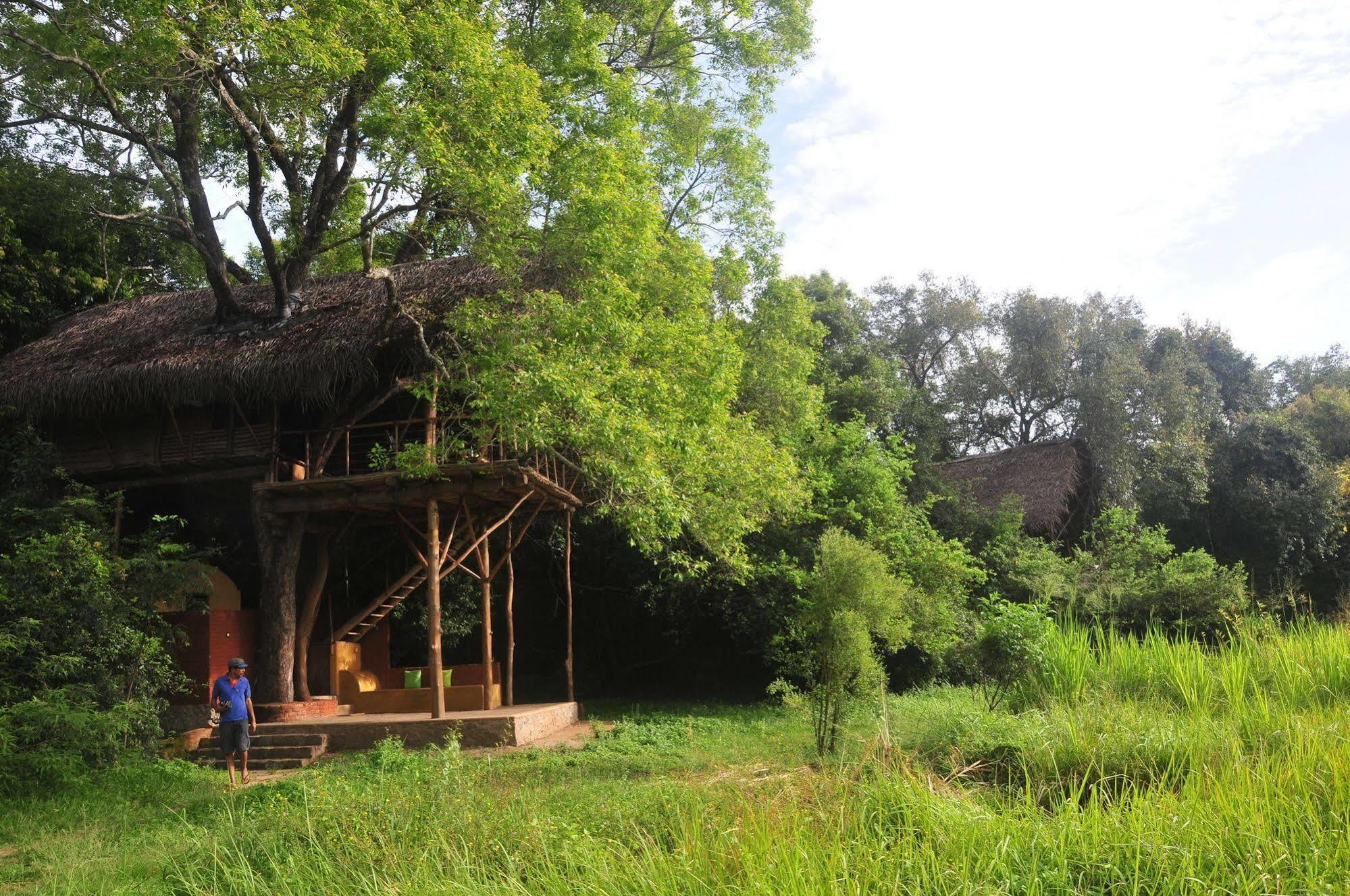 Back Of Beyond - Wild Haven Sigiriya Exterior foto