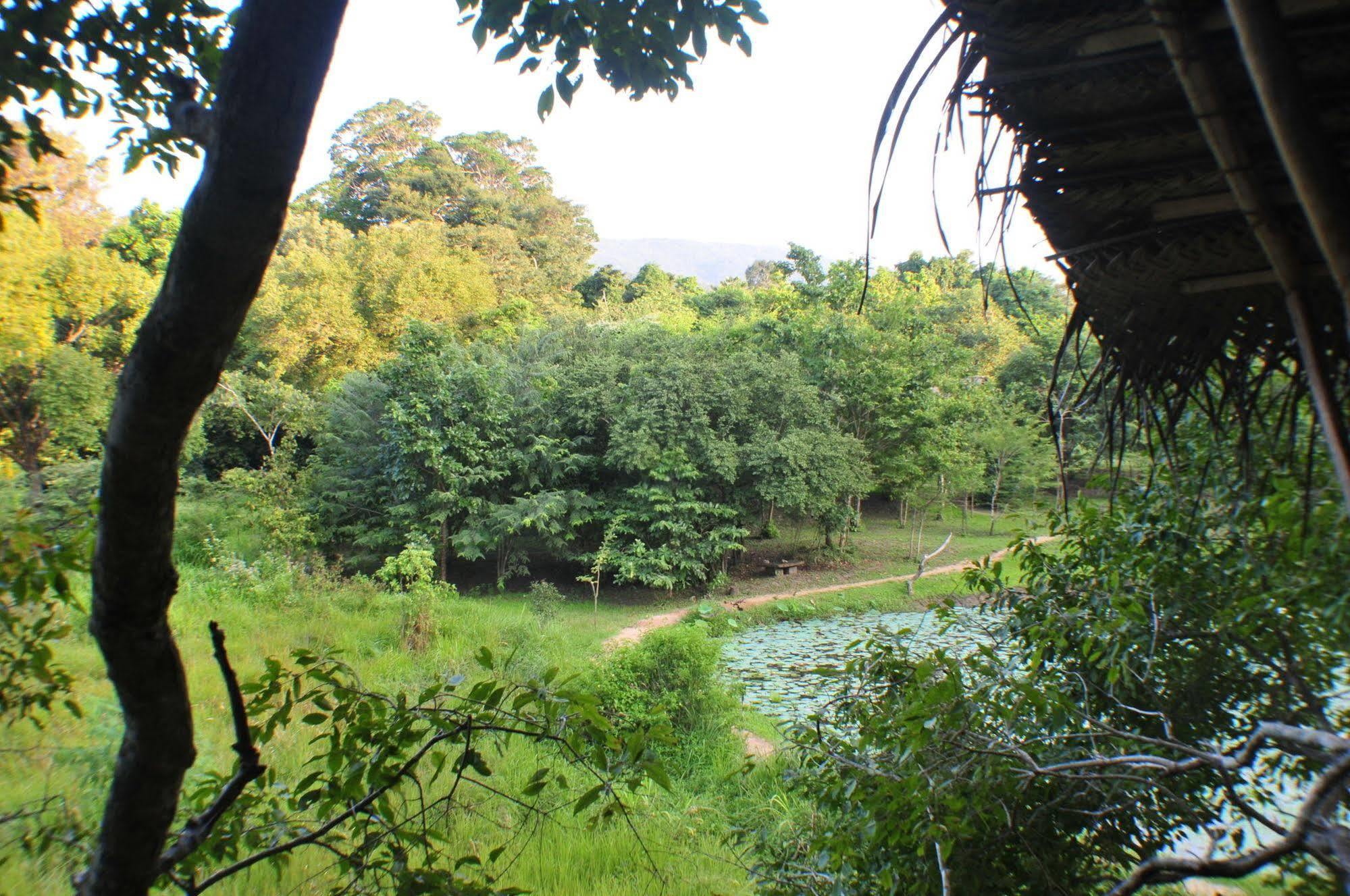 Back Of Beyond - Wild Haven Sigiriya Exterior foto