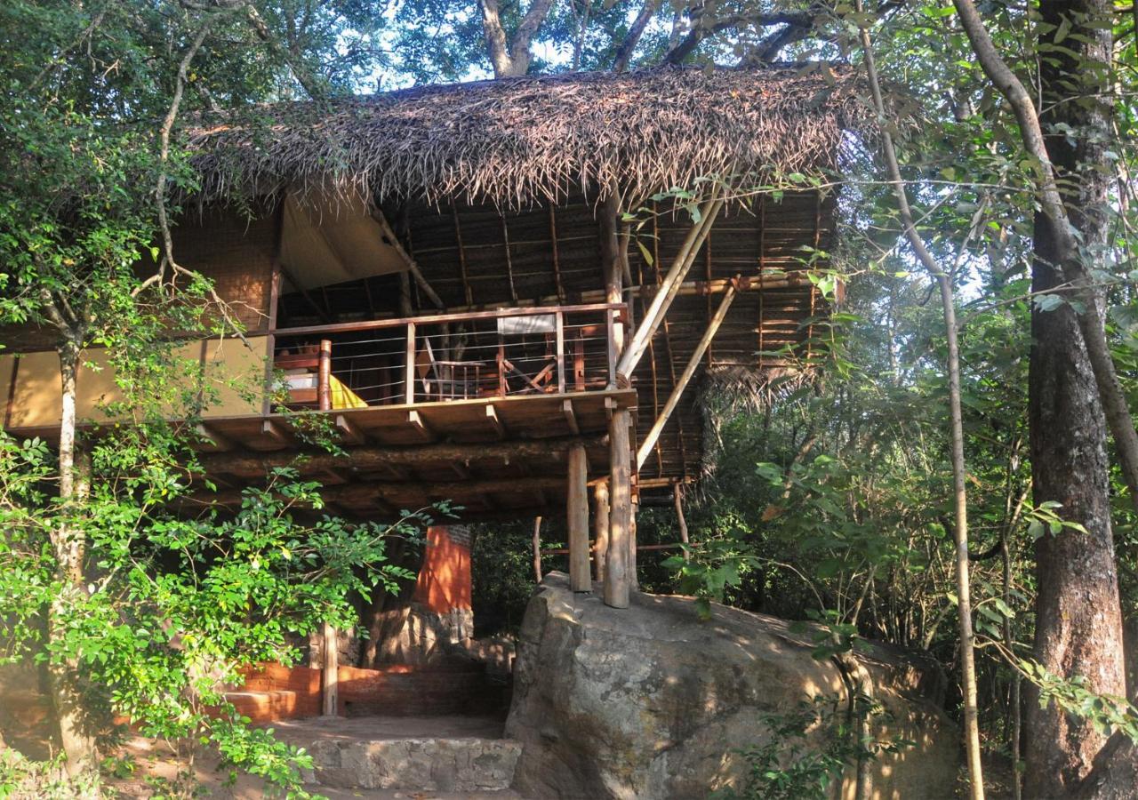 Back Of Beyond - Wild Haven Sigiriya Exterior foto