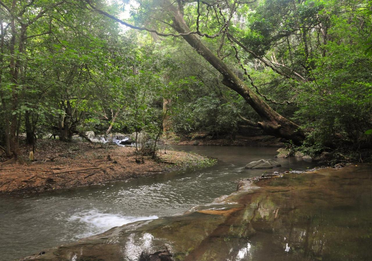 Back Of Beyond - Wild Haven Sigiriya Exterior foto