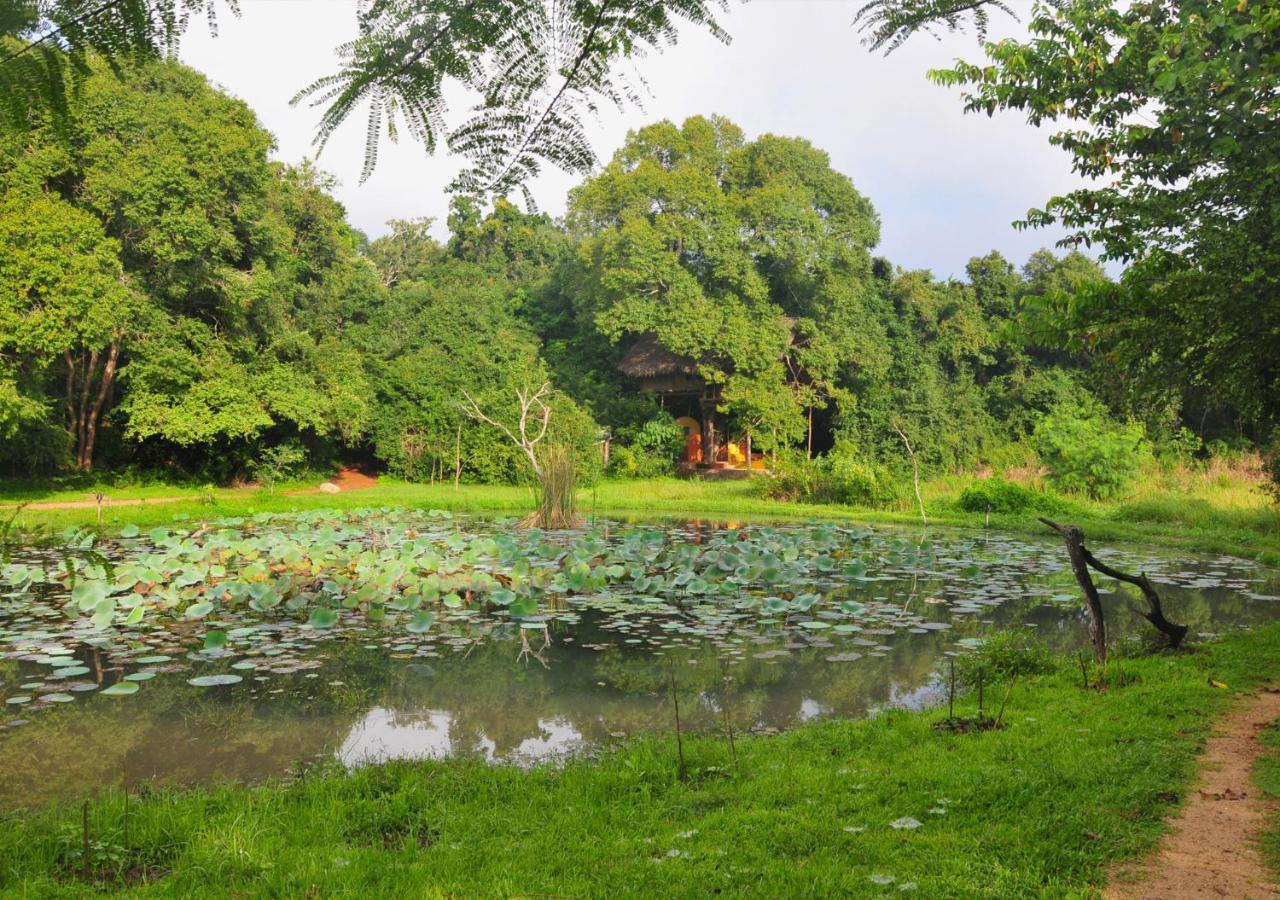 Back Of Beyond - Wild Haven Sigiriya Exterior foto