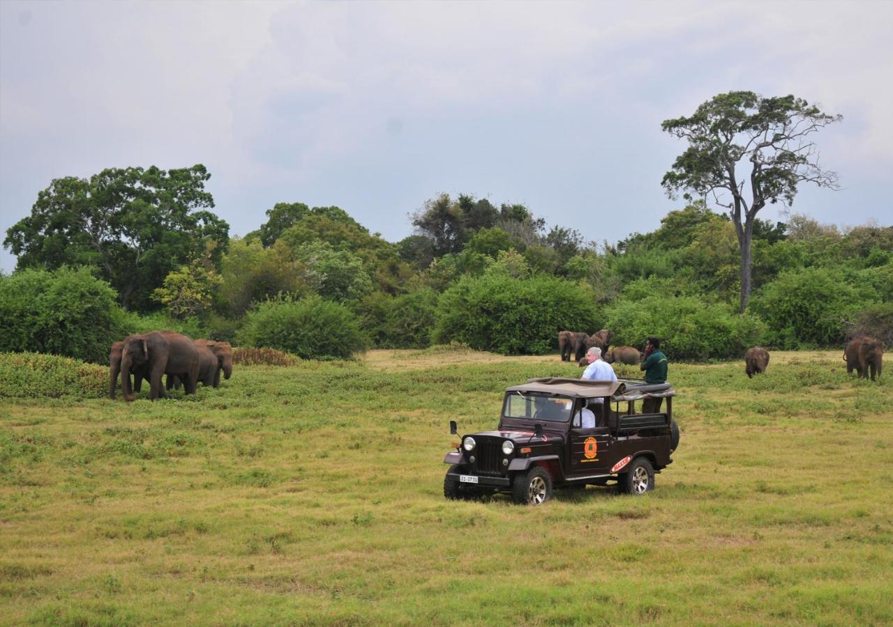 Back Of Beyond - Wild Haven Sigiriya Exterior foto