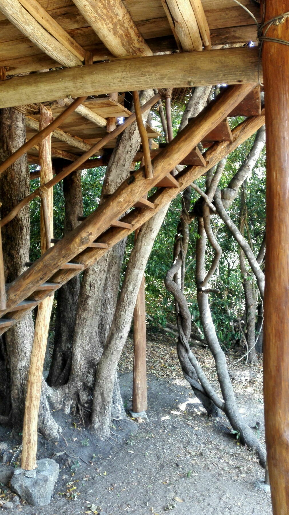 Back Of Beyond - Wild Haven Sigiriya Exterior foto