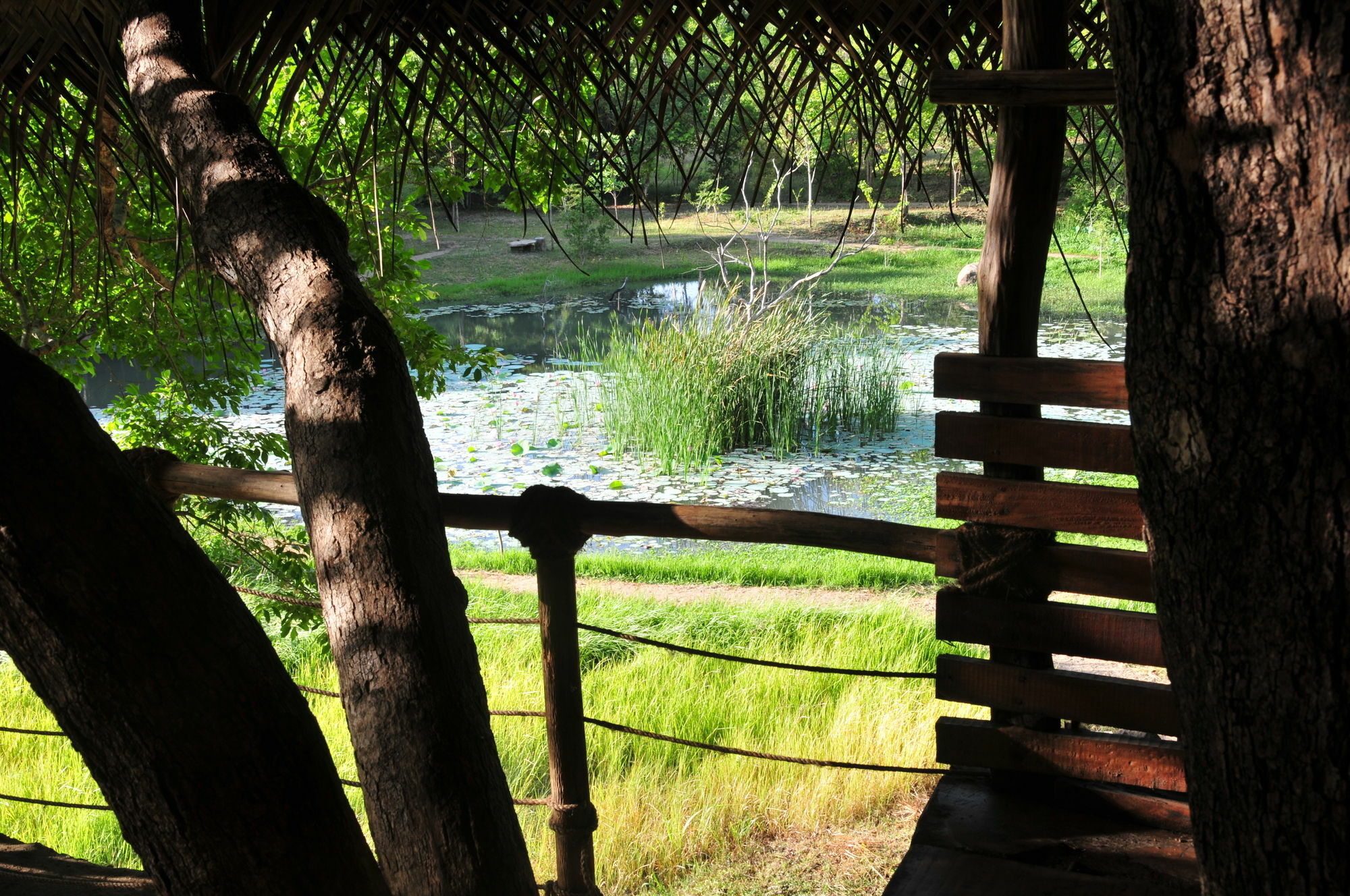 Back Of Beyond - Wild Haven Sigiriya Exterior foto